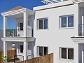 Fabulous New Build Apartment in Alicante Dream Homes Castalla 