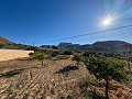 Villa met panoramisch uitzicht en alle voorzieningen op slechts een steenworp afstand in Alicante Dream Homes Castalla 