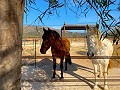 Beautiful Rural House with Pool in Lel in Alicante Dream Homes Castalla 