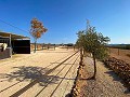 Beautiful Rural House with Pool in Lel in Alicante Dream Homes Castalla 