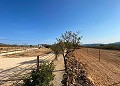 Beautiful Rural House with Pool in Lel in Alicante Dream Homes Castalla 