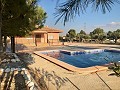 Large New Build Villa with swimming pool in Alicante Dream Homes Castalla 