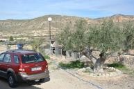 Große Neubauvilla mit Swimmingpool in Alicante Dream Homes Castalla 