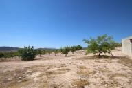 Maison de campagne avec 100.000M2 d'olives et d'amandes in Alicante Dream Homes Castalla 