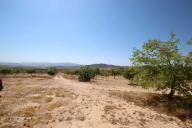 Maison de campagne avec 100.000M2 d'olives et d'amandes in Alicante Dream Homes Castalla 