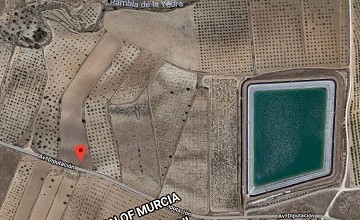 13200m2 of Land near Pinoso