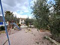 Incroyable maison de campagne entièrement réformée à Salinas (près de Sax) in Alicante Dream Homes Castalla 