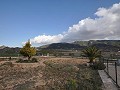 Maravillosa villa con piscina en Yecla in Alicante Dream Homes Castalla 