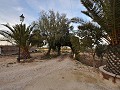 Fantastic country house to reform near pinoso  in Alicante Dream Homes Castalla 