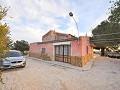 Fantastic country house to reform near pinoso  in Alicante Dream Homes Castalla 