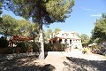 Villa Bodega - Groot huis van hoge kwaliteit gebouwd in Alicante Dream Homes Castalla 