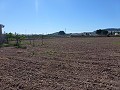 Aspe, plot for sale! - Building Plots for sale in Aspe, Alicante | Alicante, Aspe in Alicante Dream Homes Castalla 