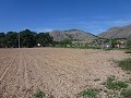 Aspe, plot for sale! - Building Plots for sale in Aspe, Alicante | Alicante, Aspe in Alicante Dream Homes Castalla 