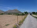 Aspe, plot for sale! - Building Plots for sale in Aspe, Alicante | Alicante, Aspe in Alicante Dream Homes Castalla 