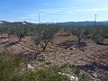 Städtisches Grundstück zum Verkauf - Baugrundstücke zum Verkauf in Macisvenda, Murcia | Alicante, Macisvenda in Alicante Dream Homes Castalla 