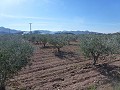 Städtisches Grundstück zum Verkauf - Baugrundstücke zum Verkauf in Macisvenda, Murcia | Alicante, Macisvenda in Alicante Dream Homes Castalla 