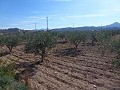 Städtisches Grundstück zum Verkauf - Baugrundstücke zum Verkauf in Macisvenda, Murcia | Alicante, Macisvenda in Alicante Dream Homes Castalla 