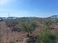 Urban Land for sale - Building Plots for sale in Macisvenda, Murcia | Alicante, Macisvenda in Alicante Dream Homes Castalla 