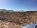 Plots of Land for Sale in Salinas, Alicante in Alicante Dream Homes Castalla 