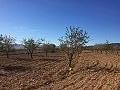 Plots of Land for Sale in Salinas, Alicante in Alicante Dream Homes Castalla 