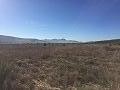 Plots of Land for Sale in Salinas, Alicante in Alicante Dream Homes Castalla 