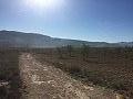 Plots of Land for Sale in Salinas, Alicante in Alicante Dream Homes Castalla 