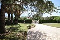 Villa individuelle avec piscine à Loma Bada in Alicante Dream Homes Castalla 