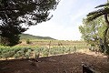 Maison de campagne avec piscine dans un bel endroit in Alicante Dream Homes Castalla 