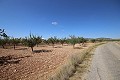 Building plot of land with almond trees in Alicante Dream Homes Castalla 