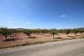 Building plot of land with almond trees in Alicante Dream Homes Castalla 