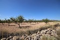 Building plot of land with almond trees in Alicante Dream Homes Castalla 