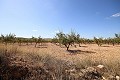 Building plot of land with almond trees in Alicante Dream Homes Castalla 