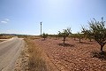 Building plot of land with almond trees in Alicante Dream Homes Castalla 