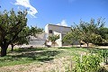 Detached Country House close to Monovar with great views in Alicante Dream Homes Castalla 