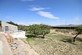 Freistehendes Landhaus in der Nähe von Monovar mit toller Aussicht in Alicante Dream Homes Castalla 