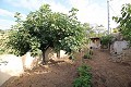 Maison troglodyte de 4 chambres à Casas del Senor in Alicante Dream Homes Castalla 