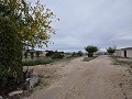 Projet de restauration d'une maison troglodyte près de Jumilla in Alicante Dream Homes Castalla 