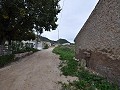 Projet de restauration d'une maison troglodyte près de Jumilla in Alicante Dream Homes Castalla 