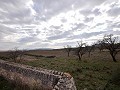 Increíble finca en Yecla. in Alicante Dream Homes Castalla 