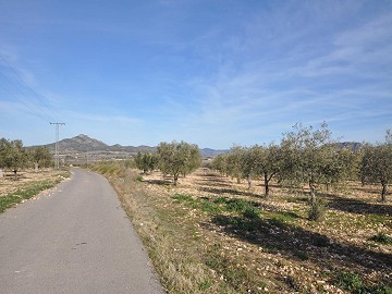 15.000m2 Bauland in Salinas mit Wasser - Stromanschluss