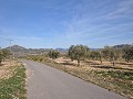 15,000m2 of building land in Salinas with water - electric close in Alicante Dream Homes Castalla 