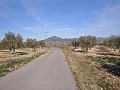 15,000m2 of building land in Salinas with water - electric close in Alicante Dream Homes Castalla 