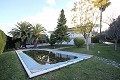 Large Detached Villa with a pool in Loma Bada, Alicante in Alicante Dream Homes Castalla 