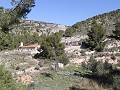 Landvilla mit 3 Schlafzimmern und 2 Bädern in einem Nationalpark in Alicante Dream Homes Castalla 