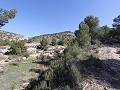 Villa de campagne de 3 chambres et 2 salles de bain dans un parc national in Alicante Dream Homes Castalla 