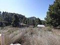 Villa de campagne de 3 chambres et 2 salles de bain dans un parc national in Alicante Dream Homes Castalla 