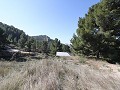 Landvilla mit 3 Schlafzimmern und 2 Bädern in einem Nationalpark in Alicante Dream Homes Castalla 