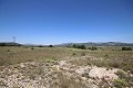 Gran Casa de Campo con negocio de mármol y plantación de uva in Alicante Dream Homes Castalla 