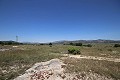 Großes Landhaus mit Marmorgeschäft und Weinplantage in Alicante Dream Homes Castalla 