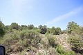 Gran Casa de Campo con negocio de mármol y plantación de uva in Alicante Dream Homes Castalla 